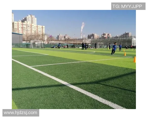 在绿茵场上追逐梦想足球与草地的激情碰撞与无限可能